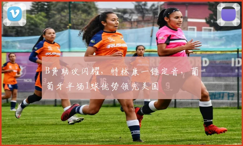 B费助攻闪耀，特林康一锤定音，葡萄牙半场1球优势领先美国