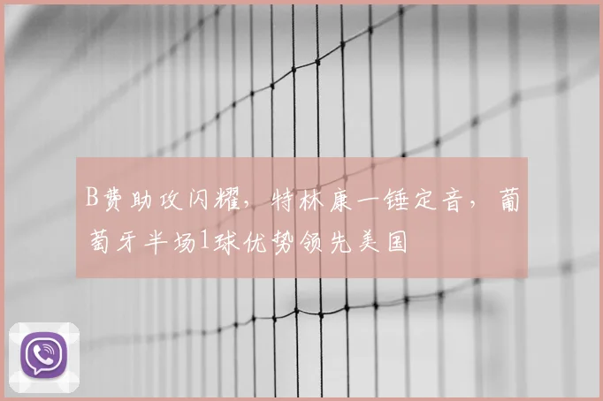 B费助攻闪耀，特林康一锤定音，葡萄牙半场1球优势领先美国